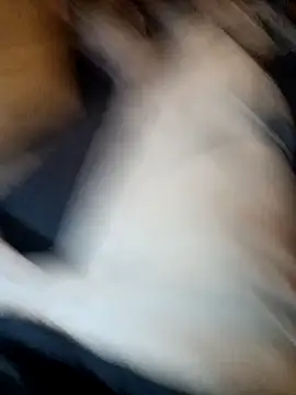 Snapshot of ySqmbVanbe chatting on 11, 11, 2025 ySqmbVanbe online show from 11, 11, 2025