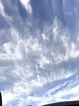 Snapshot of FloppyPickle4u chatting on 19, 1, 2026 FloppyPickle4u online show from 19, 1, 2026