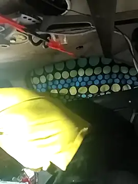 Snapshot of FloppyPickle4u chatting on 6, 3, 2026 FloppyPickle4u online show from 6, 3, 2026