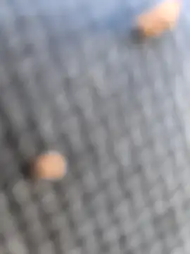 Snapshot of FloppyPickle4u chatting on 7, 3, 2026 FloppyPickle4u online show from 7, 3, 2026