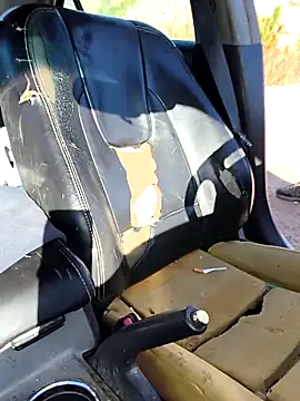 Snapshot of FloppyPickle4u chatting on 9, 3, 2026 FloppyPickle4u online show from 9, 3, 2026