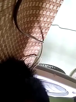 idocudai online show from 3, 4, 2026