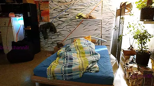 Snapshot of BongChannel chatting on 31, 12, 2024 BongChannel online show from 31, 12, 2024