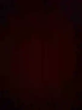  Tomy08calderon online show from 12, 2, 2025