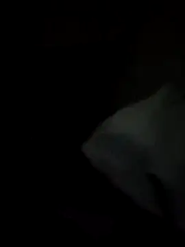 tessafontana37 online show from 3, 1, 2025