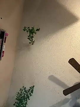 magicalc00ch online show from 16, 3, 2025