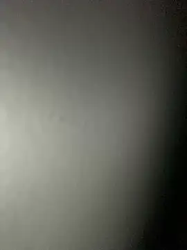 Snapshot of Leyna_liu chatting on 4, 2, 2025 Leyna liu online show from 4, 2, 2025