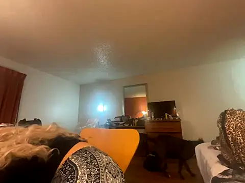 Snapshot of tatted-bitty chatting on 19, 11, 2025 tatted-bitty online show from 19, 11, 2025