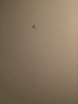 Snapshot of BIGWHITECOCKDOC36 chatting on 5, 3, 2025 BIGWHITECOCKDOC36 online show from 5, 3, 2025