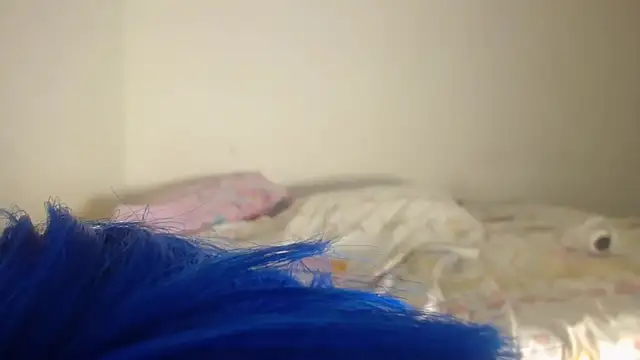 barbara anal squirt  online show from 16, 5, 2026