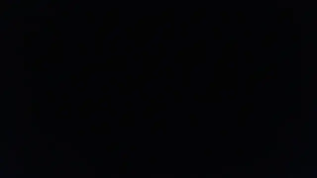 Sofii floyd  online show from 22, 3, 2025