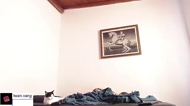 Trix fiore oficial online show from 14, 11, 2025