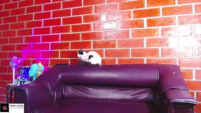 Trix fiore oficial online show from 22, 3, 2026