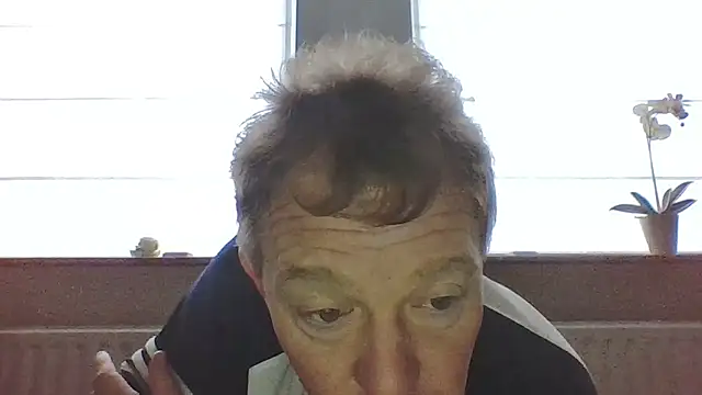 bertolini online show from 7, 3, 2026