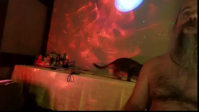 Snapshot of SexWorkerX chatting on 4, 11, 2025 SexWorkerX online show from 4, 11, 2025