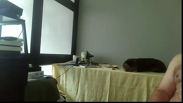 Snapshot of SexWorkerX chatting on 15, 11, 2025 SexWorkerX online show from 15, 11, 2025