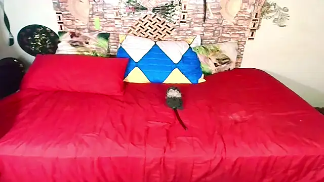 Indian Blaze00 online show from 17, 10, 2025