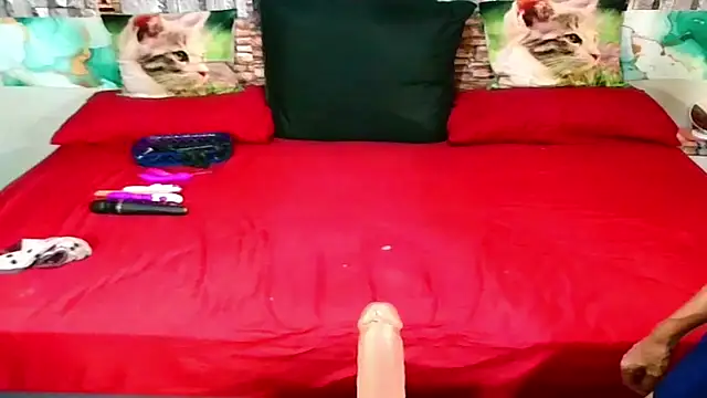 Indian Blaze00 online show from 31, 1, 2026