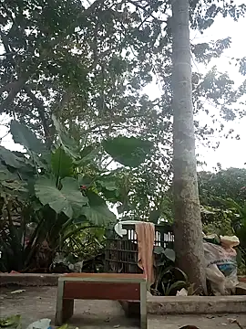 zizi public online show from 30, 12, 2024