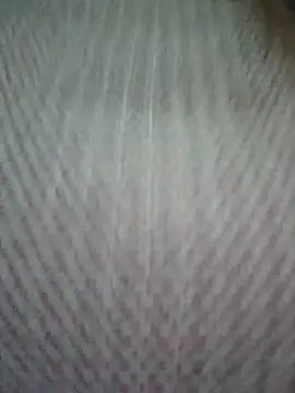 zizi public online show from 14, 3, 2025