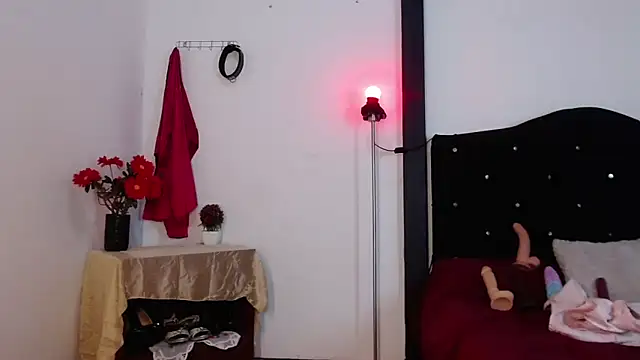 sirax66 online show from 13, 2, 2025