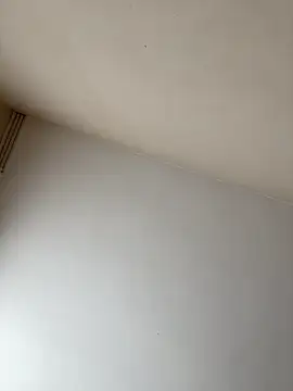 Snapshot of rpotktkkt chatting on 20, 11, 2025 rpotktkkt online show from 20, 11, 2025