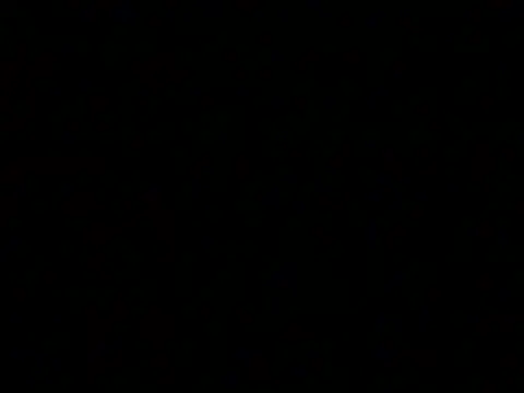 markluvskitty online show from 19, 2, 2026