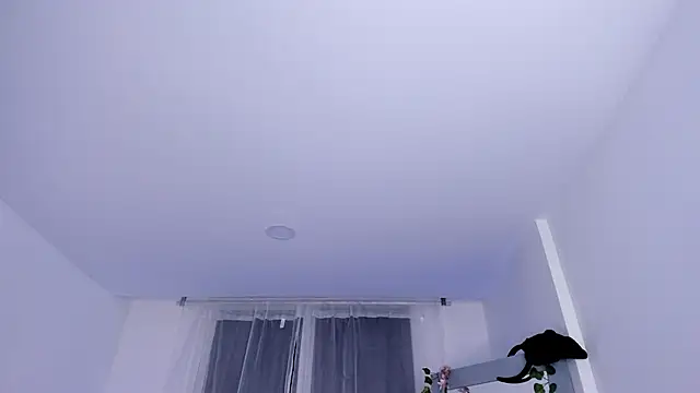  mia collins b  online show from 29, 1, 2025