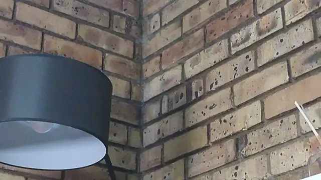 Astoria Moon online show from 14, 1, 2026