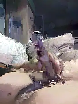 Bi-Sunny online show from 17, 11, 2025