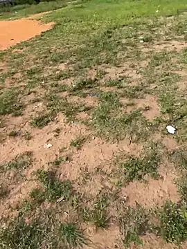 Snapshot of Black-mamba-madingo chatting on 14, 2, 2026 Black-mamba-madingo online show from 14, 2, 2026