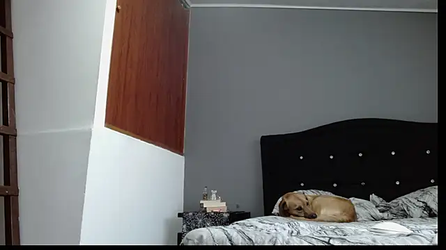 Emilia 1995 online show from 30, 1, 2025