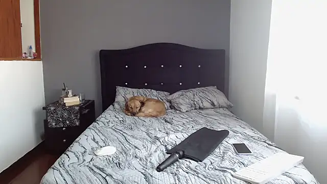 Emilia 1995 online show from 11, 2, 2025