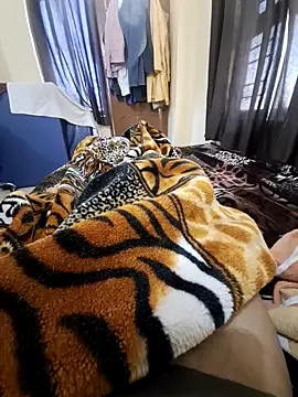 villagb12 online show from 14, 2, 2025