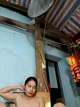 Nice 16 online show from 26, 4, 2026