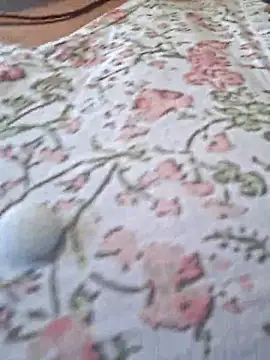 Snapshot of Priya_Bong chatting on 24, 2, 2026 Priya Bong online show from 24, 2, 2026