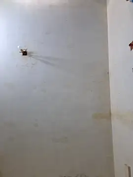 Derry Cooper online show from 8, 2, 2026