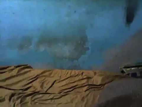 little  joy online show from 1, 3, 2025