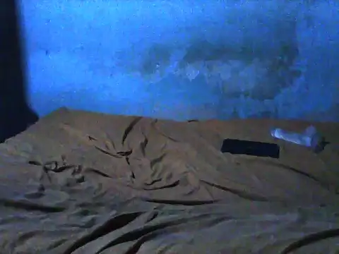 little  joy online show from 30, 11, 2025