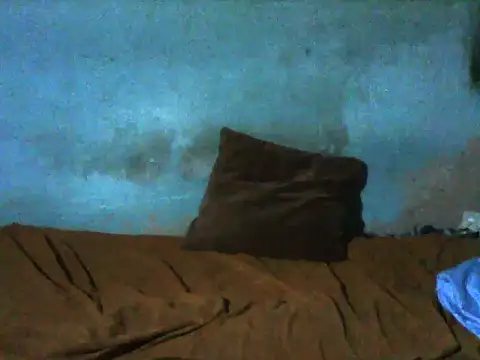 little  joy online show from 16, 12, 2025