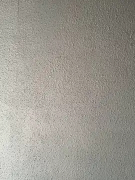 Snapshot of Miguel16i chatting on 14, 2, 2025 Miguel16i online show from 14, 2, 2025