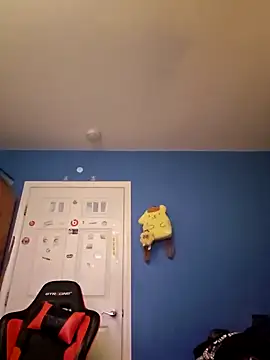 Snapshot of snortrax chatting on 13, 12, 2024 snortrax online show from 13, 12, 2024