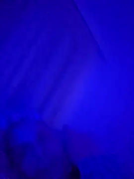 Snapshot of denisxlRo chatting on 16, 3, 2025 denisxlRo online show from 16, 3, 2025