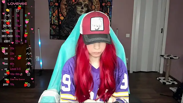 Project hisoka online show from 30, 12, 2024