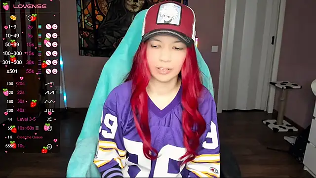 Project hisoka online show from 30, 12, 2024