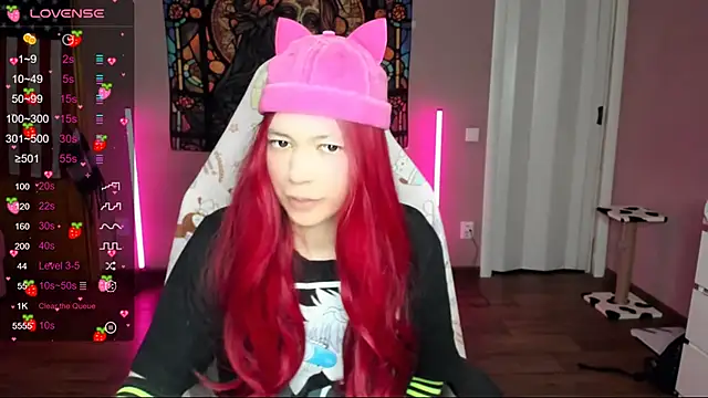 Project hisoka online show from 12, 1, 2025