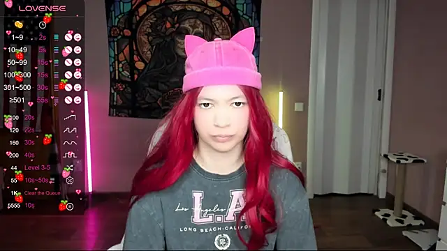 Project hisoka online show from 19, 1, 2025