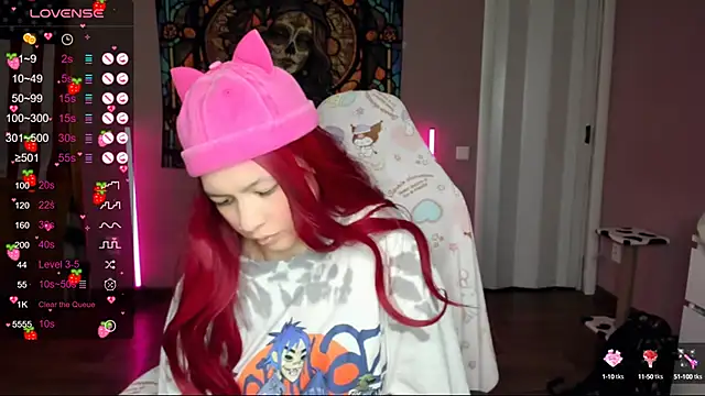 Project hisoka online show from 24, 1, 2025