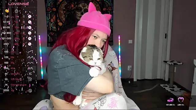 Project hisoka online show from 10, 3, 2025