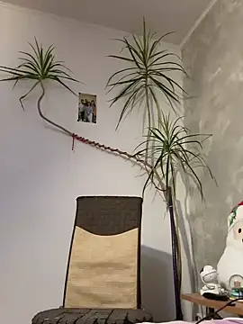 Snapshot of derek1494 chatting on 9, 1, 2026 derek1494 online show from 9, 1, 2026